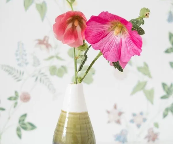 Langebjerg & Spisested Pensión