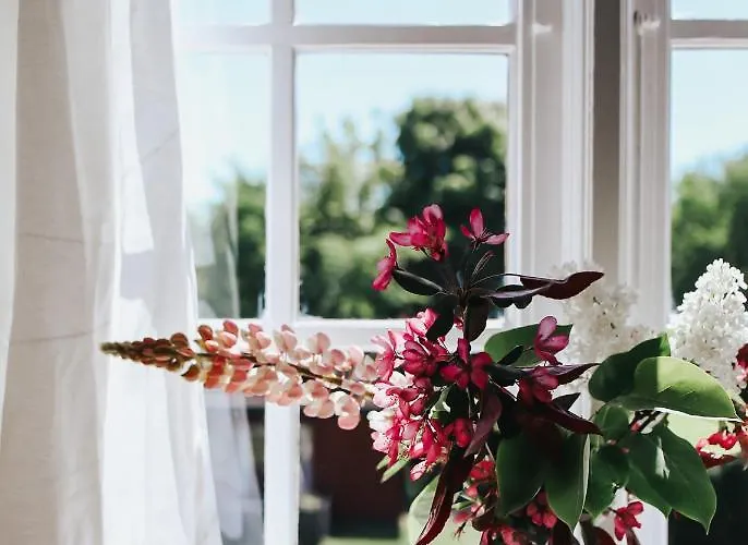 Langebjerg & Spisested Allinge-Sandvig