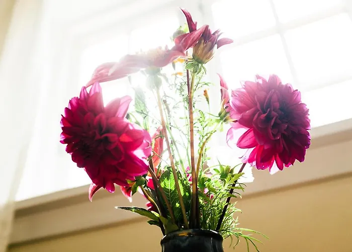 Pensión Langebjerg & Spisested Allinge-Sandvig